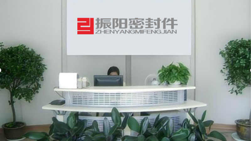 Hebei Zhenyang Seals Co., Ltd.